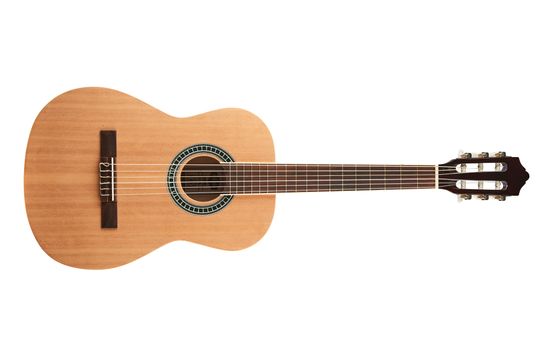 Molina SPCG 44 BR Spruce Top